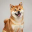 俺のBlogについて
